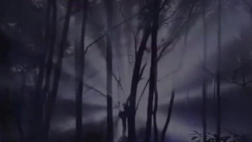 网购鲜花收到如何处理-问答网站