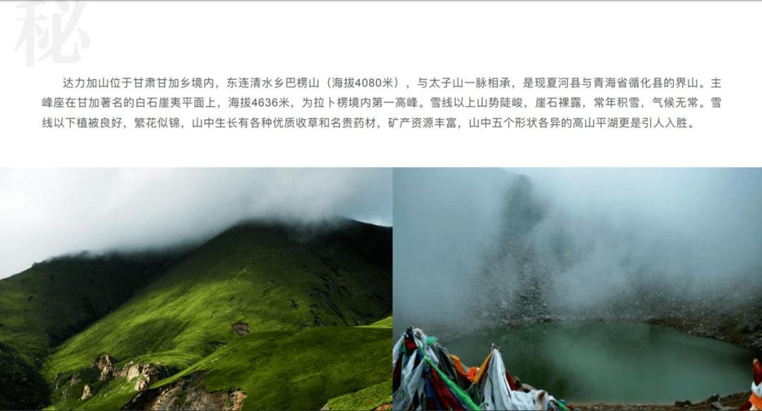红树林逃生